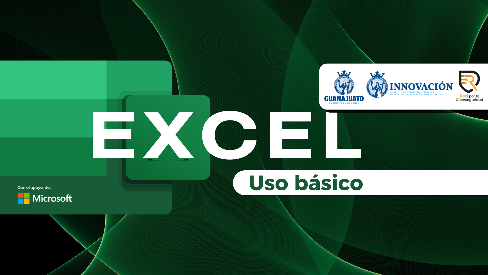 Microcredencial — Excel Uso Básico - Guanajuato